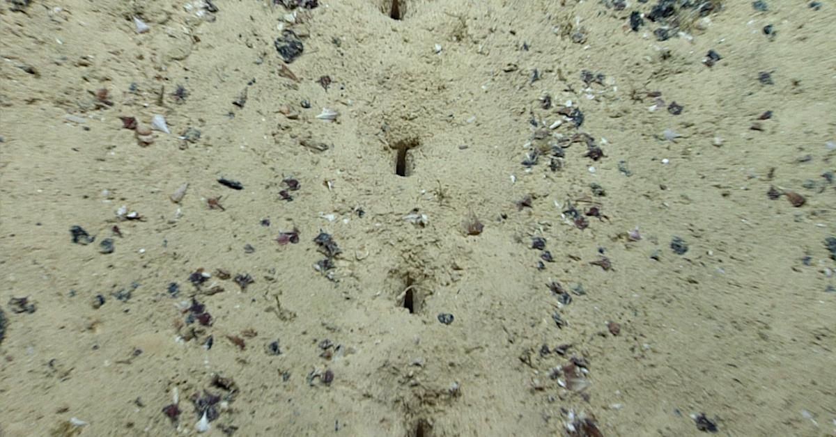 Ocean Floor Holes