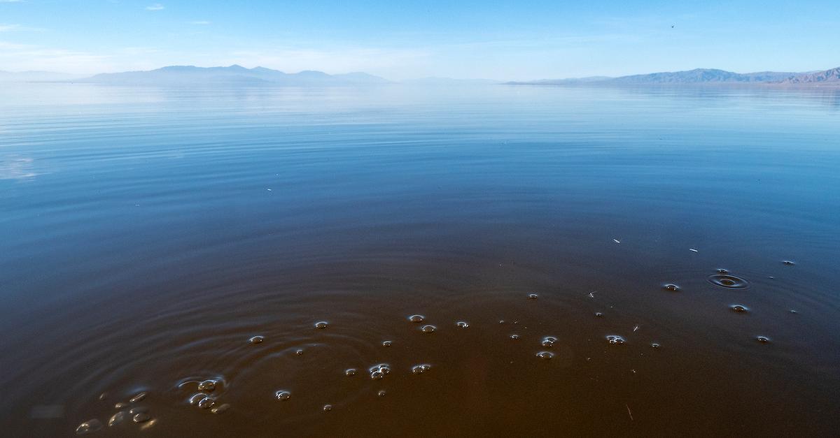 The Toxic History of the Salton Sea