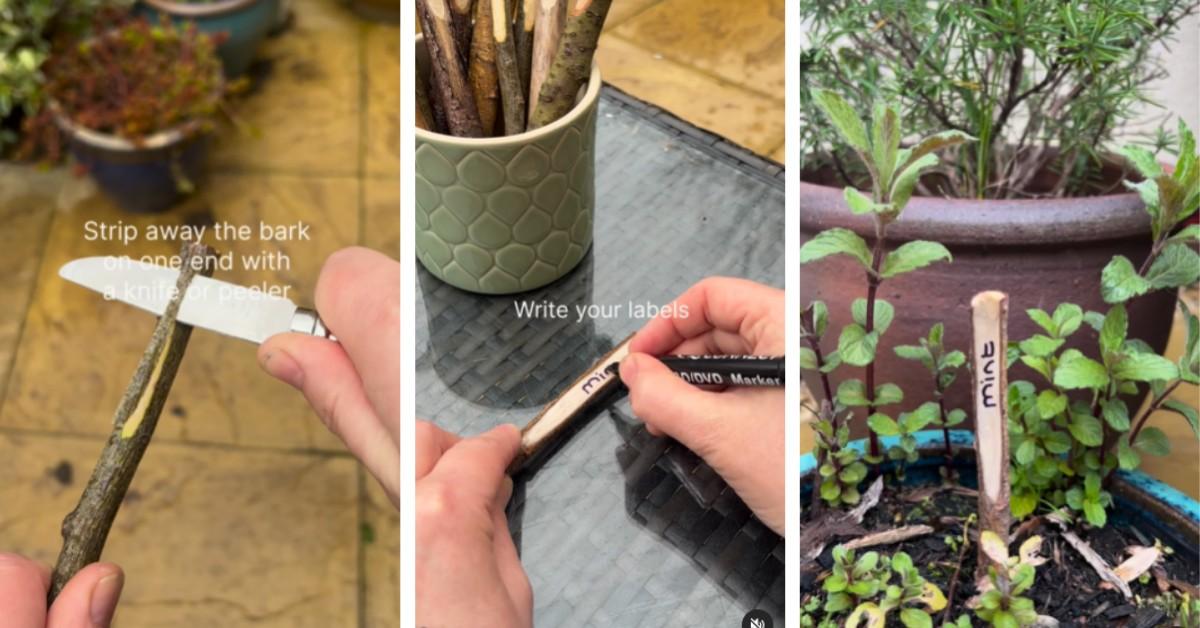 DIY plant labels made from sticks