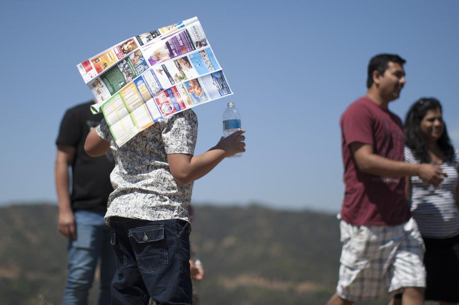 How Far North Do Alligators Live?