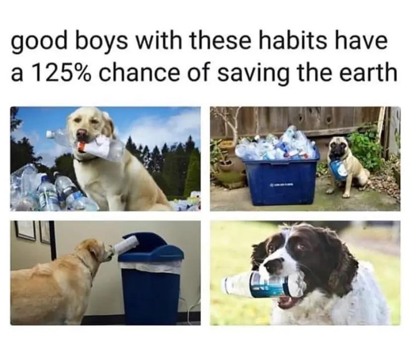 Dogs Recycling Meme