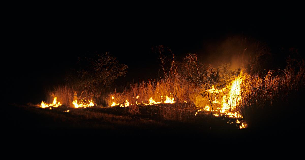 Australia Wildfires 2021 How They Started Where They Are And More