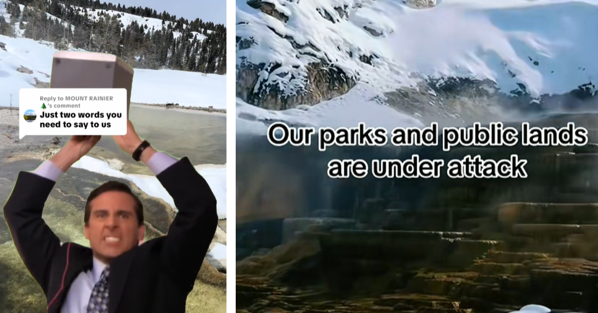 Clips from the Yellowstone National Park TikTok show the character Michael Scott next to a message that the parks are under attack