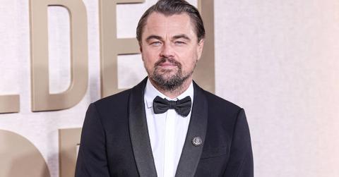 leonardo dicaprio israel hotel backlash