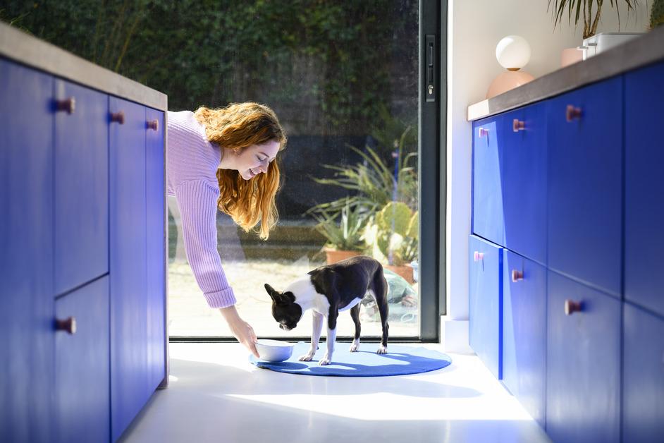 Woman feeding her Boston Terrier out of a white bowl.