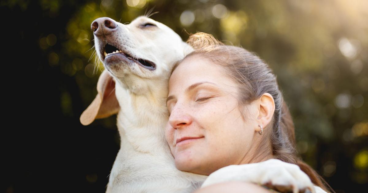 how to show love to dogs