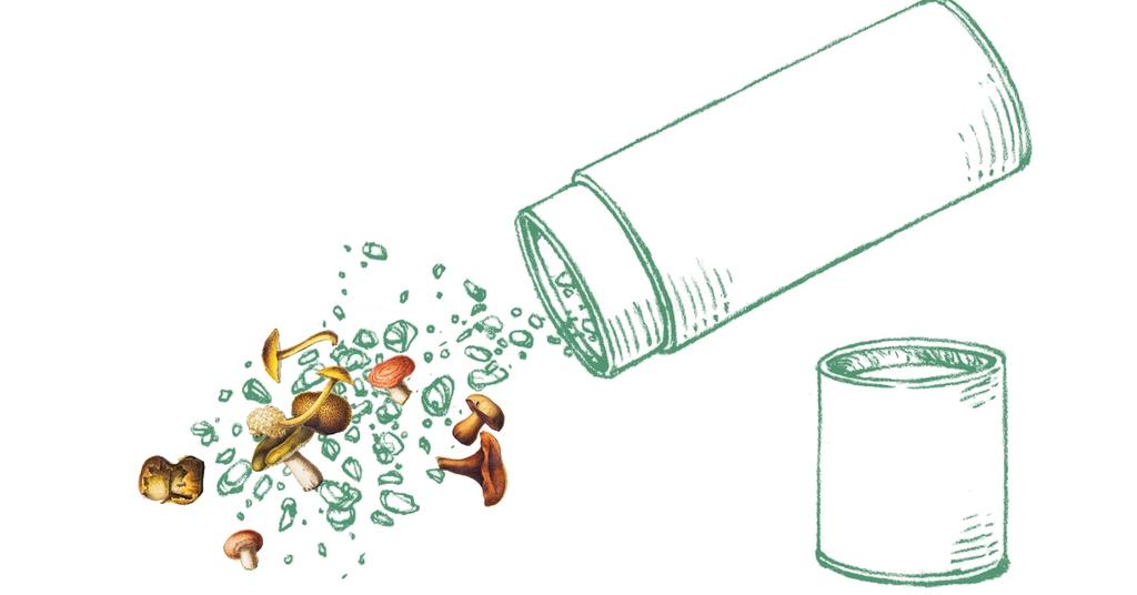 This Tree Burial Process Is a CarbonNegative Alternative to