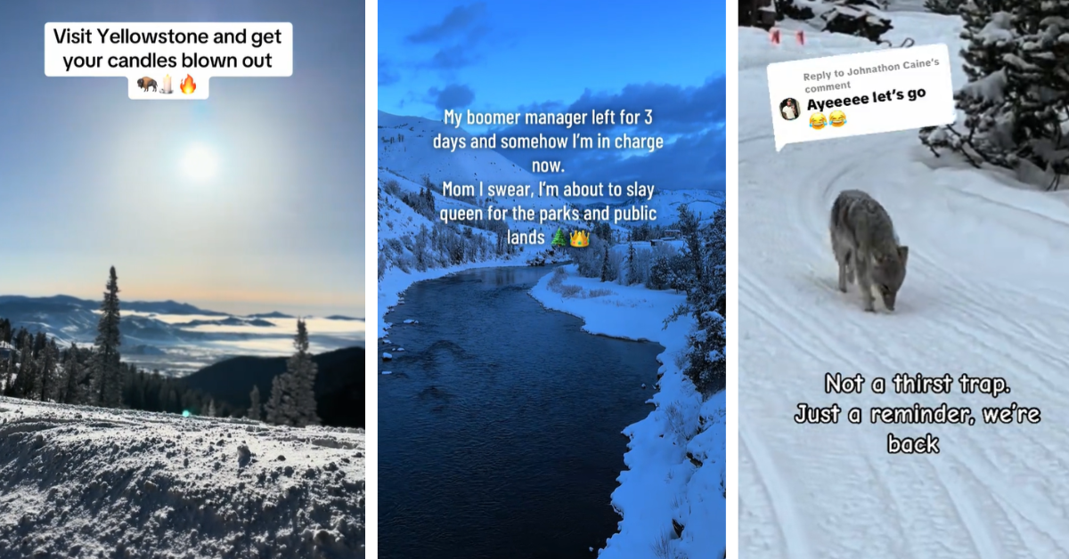 Screenshots from the Yellowstone National Park TikTok