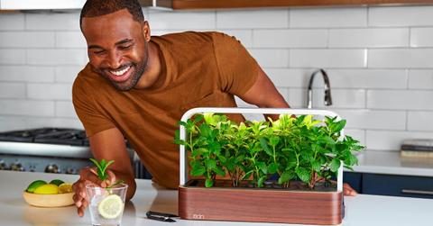 Man with countertop hydroponic garden