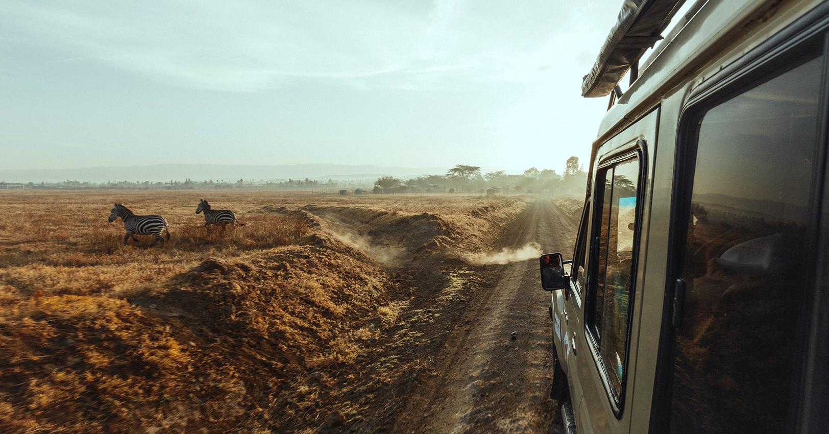 GM Travel Animals Alex Schubert Istock THUMB