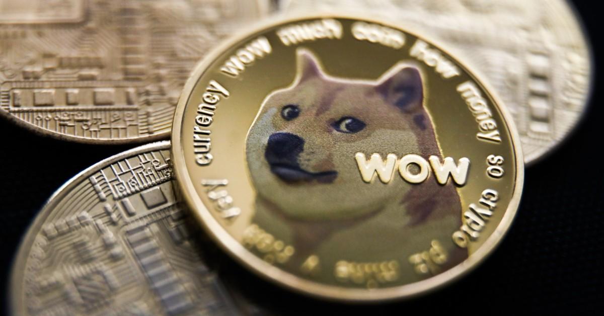 Kabosu on the face of Dogecoin