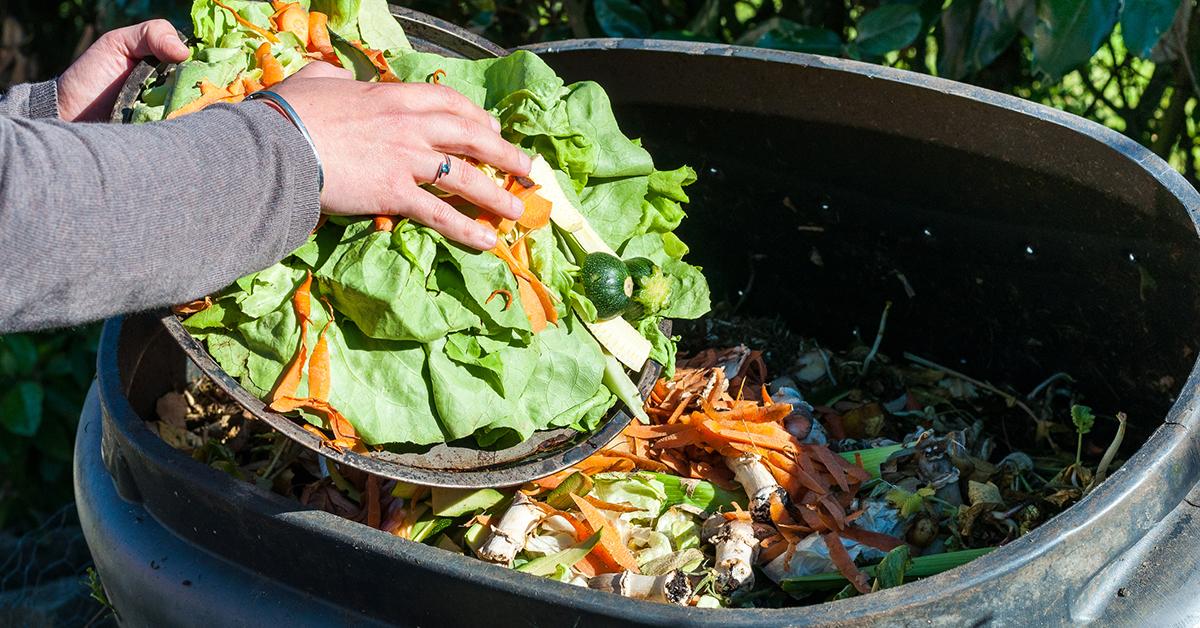 compost food waste