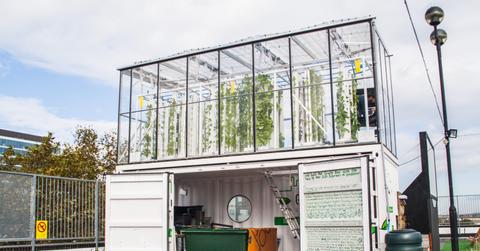 The GrowUp Box up at Roof East