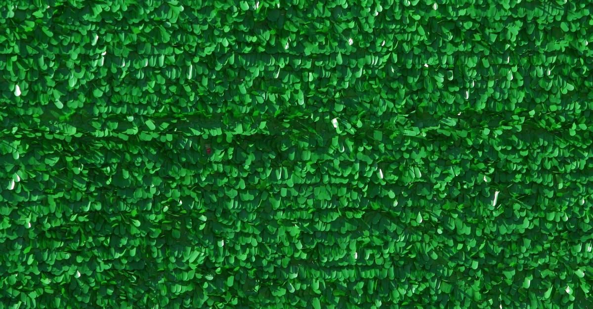 The Environmental Impact of an Artificial Lawn — What to Know