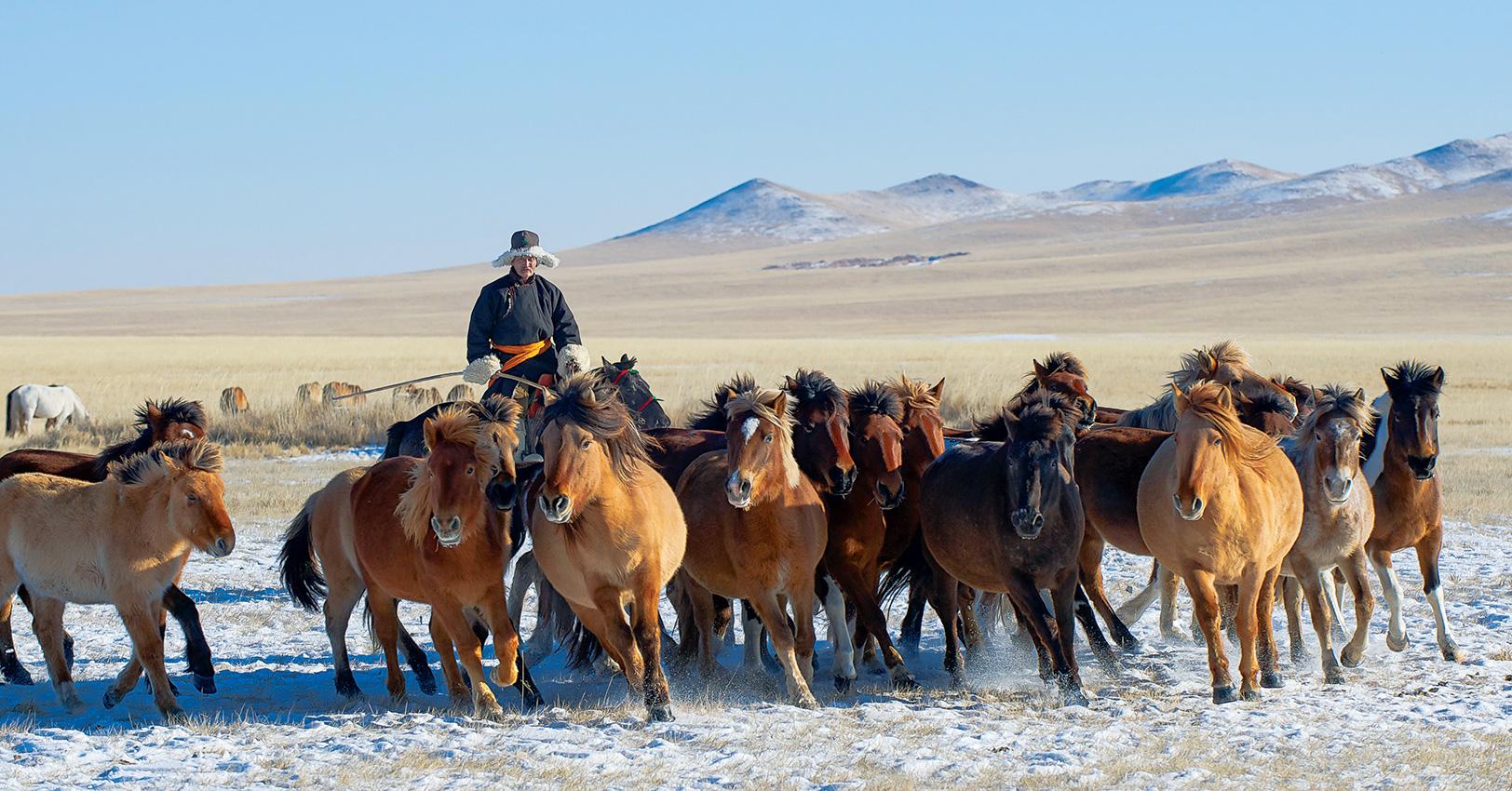 GM Travel SustainableTourismCountries Mongolia