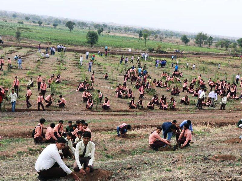 planting india