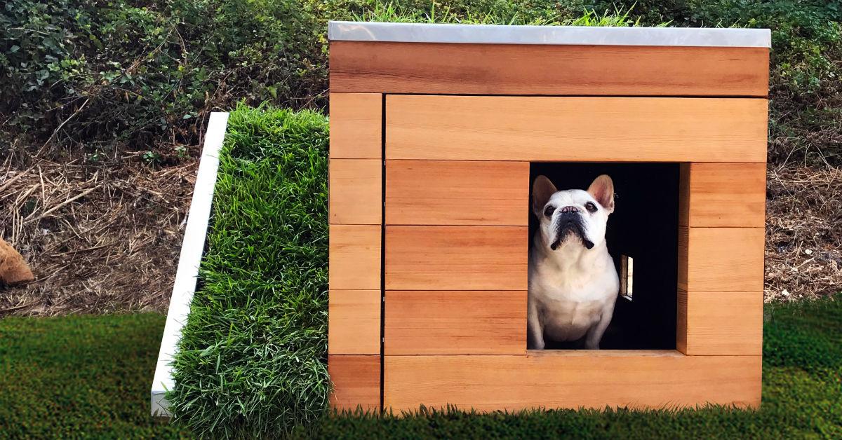 EcoFriendly Dog House Enters California Competition