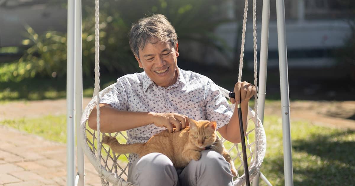 Happy person sitting in a garden swing with an adult ginger cat on their lap.