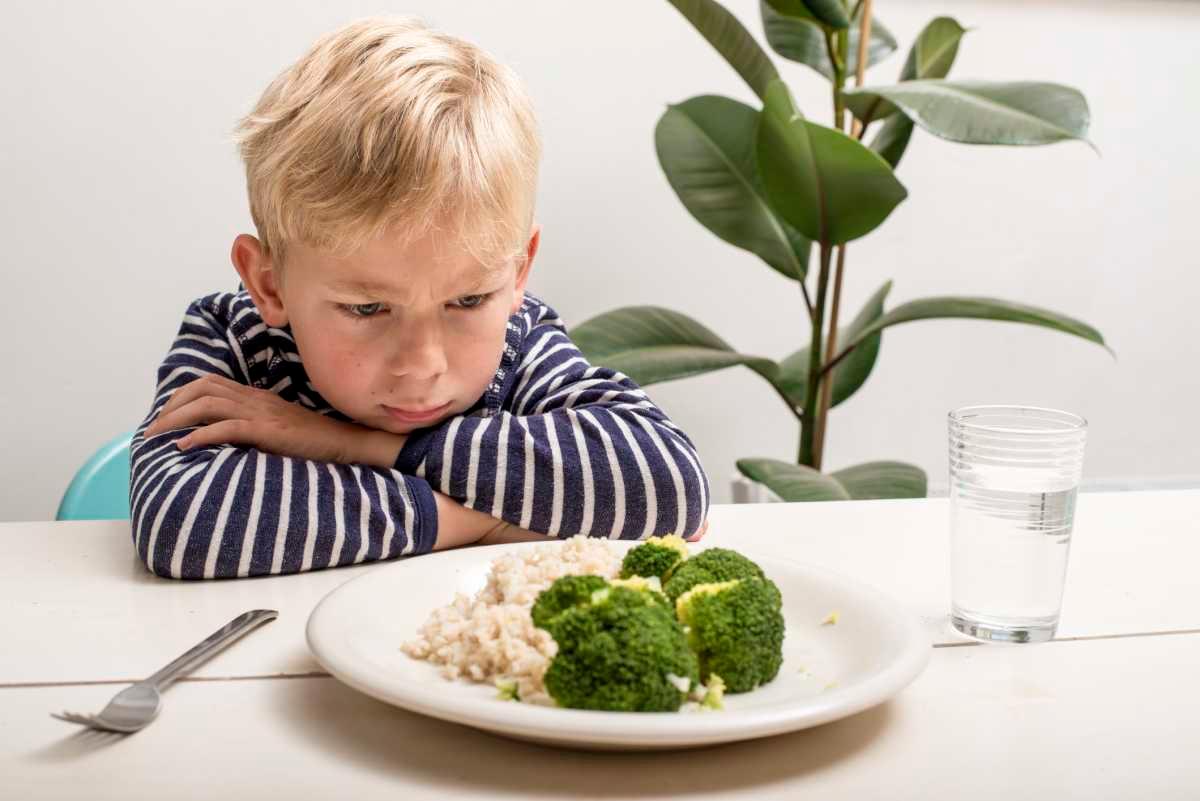 pn/febc abd fad b ea