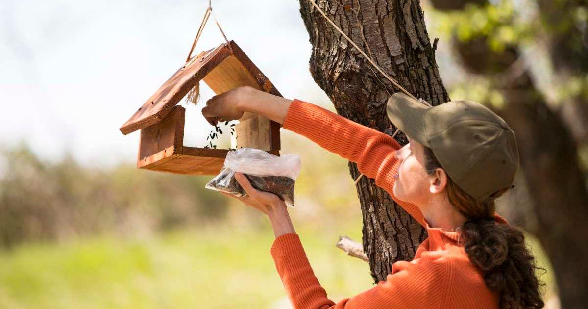 A woman is setting up a bird feeder in her garden. (Representative Cover Image Source: Getty Images | kmatija)