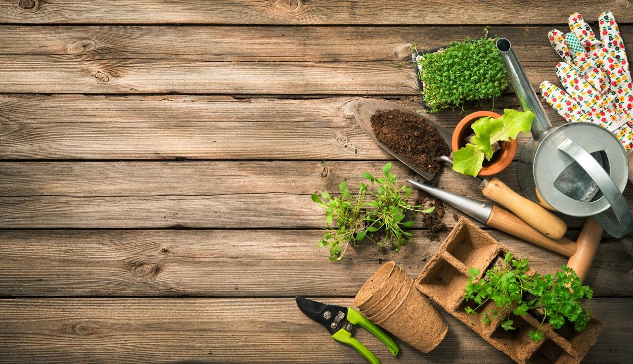 Various gardening supplies like seed containers, soil, a small shovel, gloves, and a watering can on a wooden deck or table. 