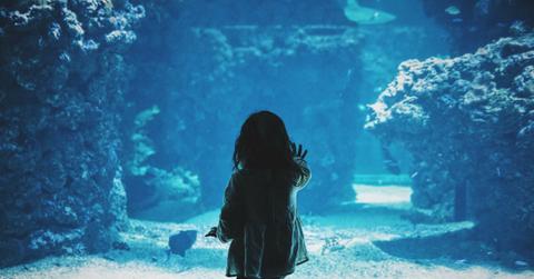 rsz_caroline hernandez