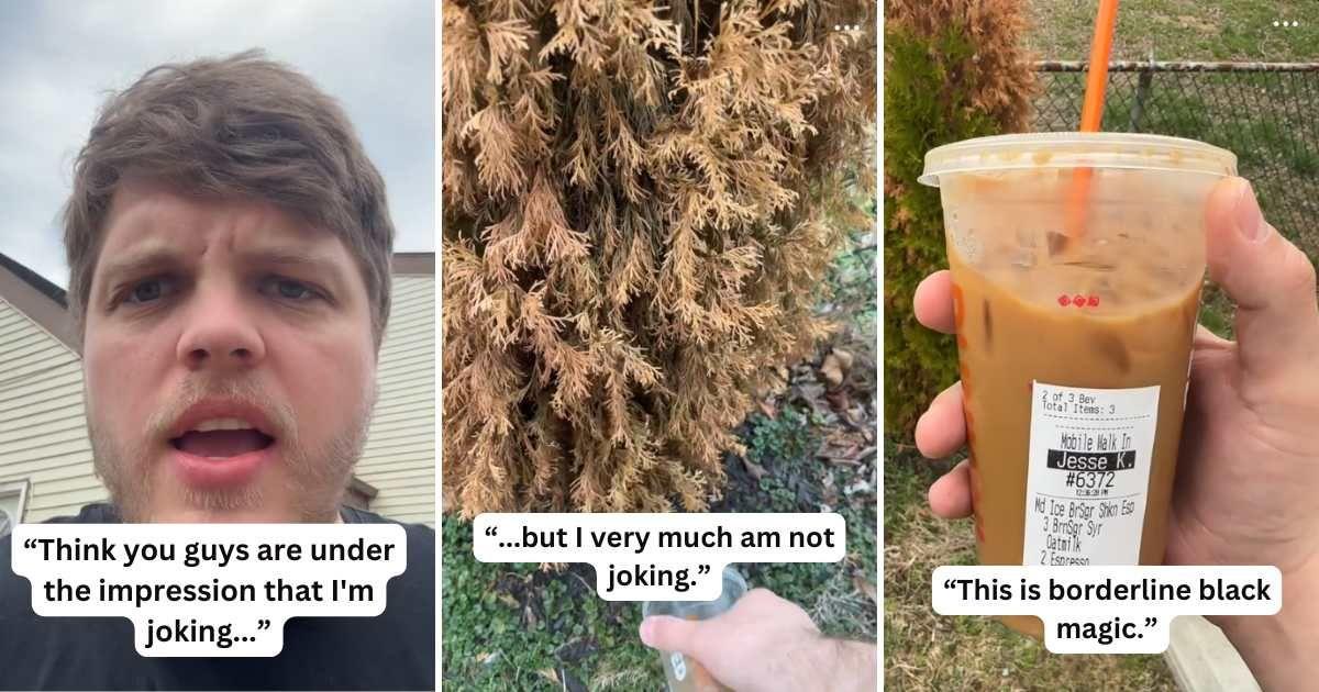 Gardener pours sugary coffee to water the dying plants (Cover Image Source: TikTok | @brickbybricks)