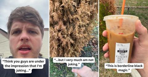Gardener pours sugary coffee to water the dying plants (Cover Image Source: TikTok | @brickbybricks)