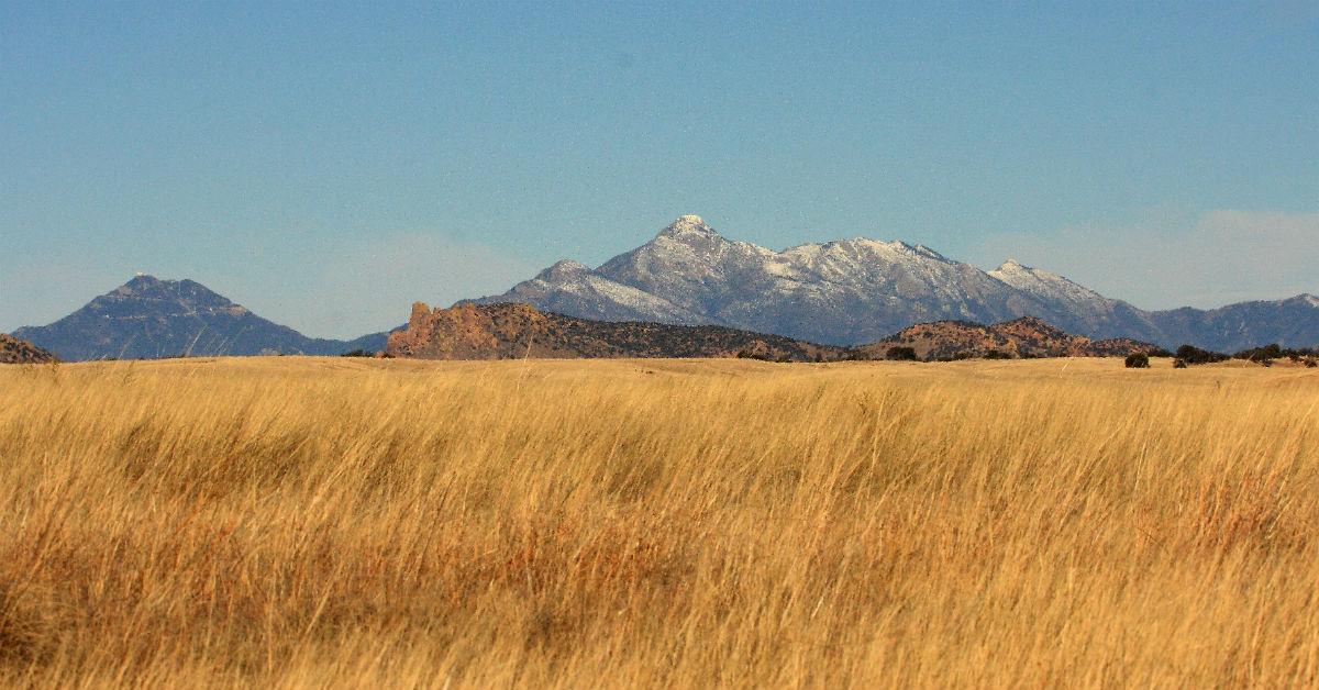 grasslands