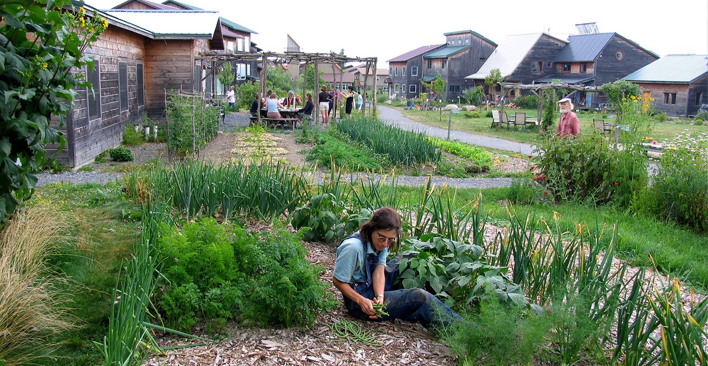 ecovillage()