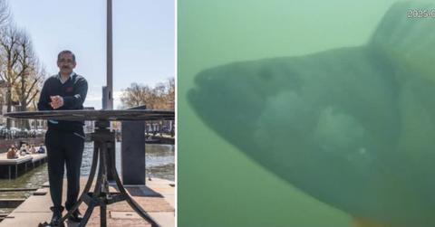 (L) Lockkeeper listens to the rings of Fish Doorbell and opens the lock for the waiting fish, (R) Glimpse of a curious fish appears from the murky green waters in a livestream (Cover Image Source: Visdeurbel, The Fish Doorbell)