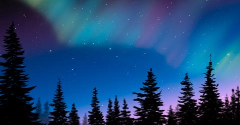 Northern Lights behind evergreen trees