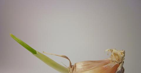 Curious About Garlic? Here Are The Health Benefits To Eating It Raw