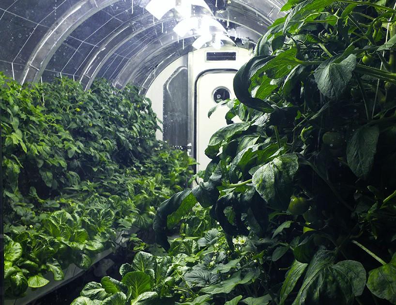 spacegreenhouse