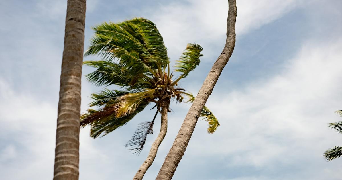 hurricane kiko
