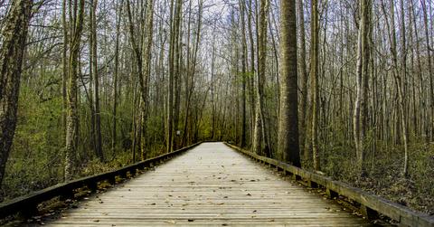 forest park walk trail