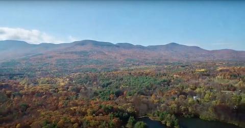A wide shot of fall trees in front of a mountain during the daytime near Cairo, N.Y.