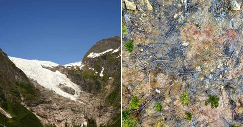 (L) Snow melting away from the pristine Rocky Mountains. (R) Trunks of dead trees in a forest. (Representative Cover Image Source: Pexels | (L) Barnabas Davoti, (R) Tom Fisk)