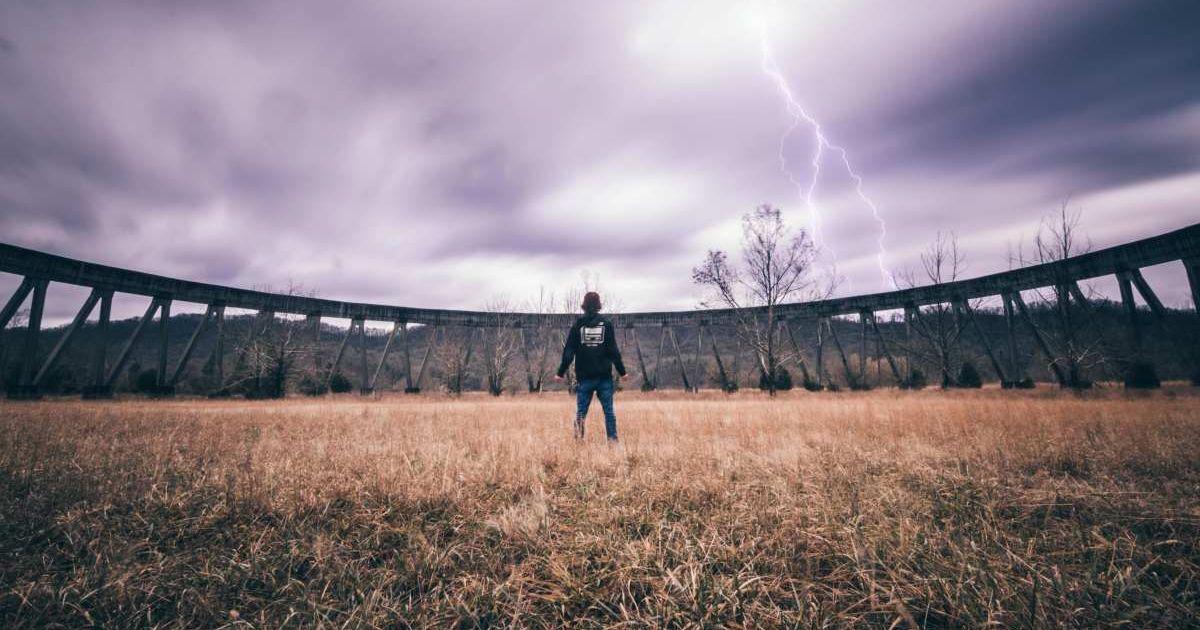 A Boy Watching a Lightning Strike Near a Tree. (Representative Cover Image Source: Pexels | Isaac Weatherly)