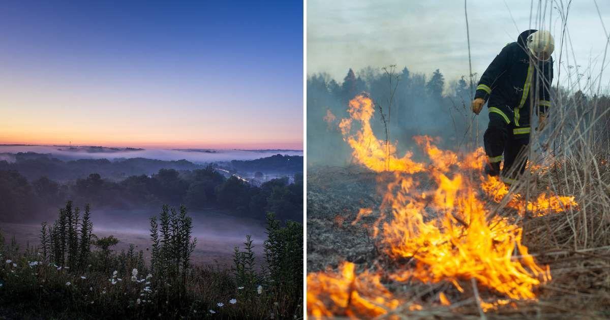 (L) Cuyahoga Valley National Park, (R) Person setting fire to grass in a park (Representative Cover Image Source: Getty Images | (L) Yuanshuai Si, (R) Oner)