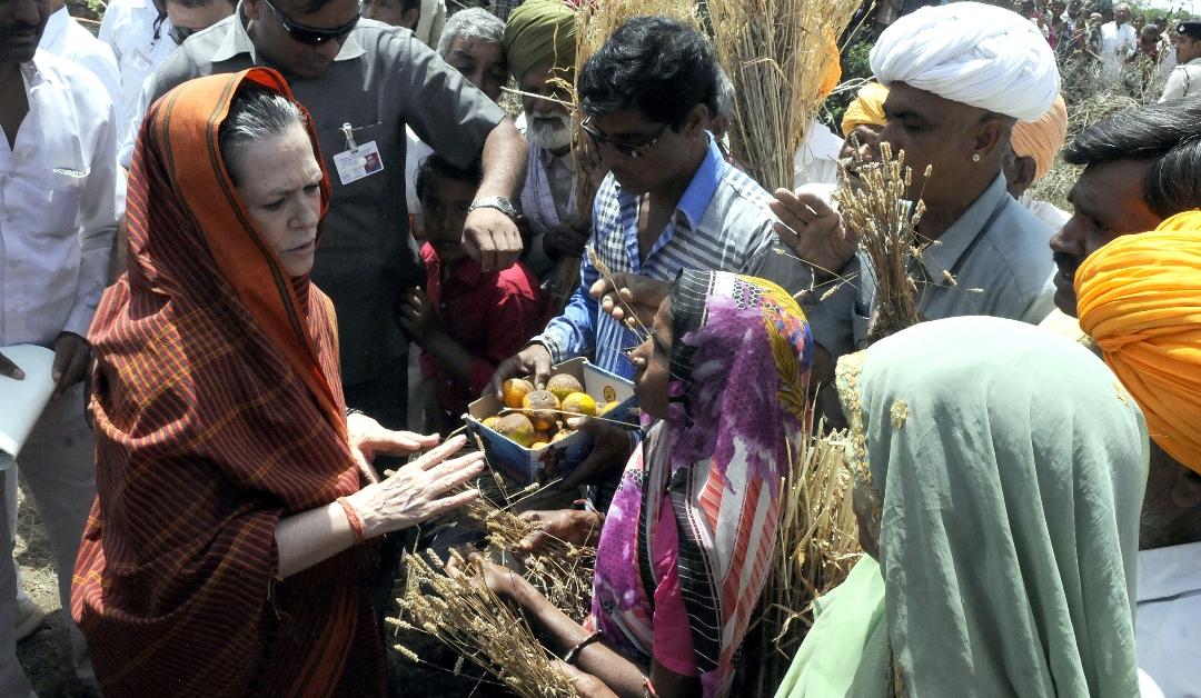 Farmers showing Isabgol (psyllium husk) and other crops to Congress President Sonia Gandhi in Neemuch, India