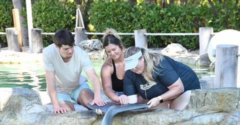 Miami Seaquarium guests pet a dolphin.