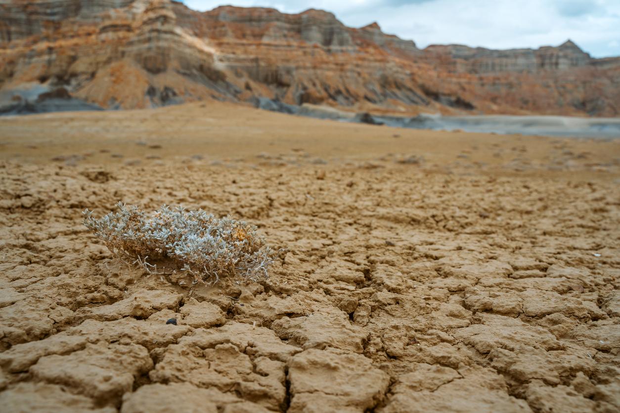 Ground view of dry, cracked soil in Utah