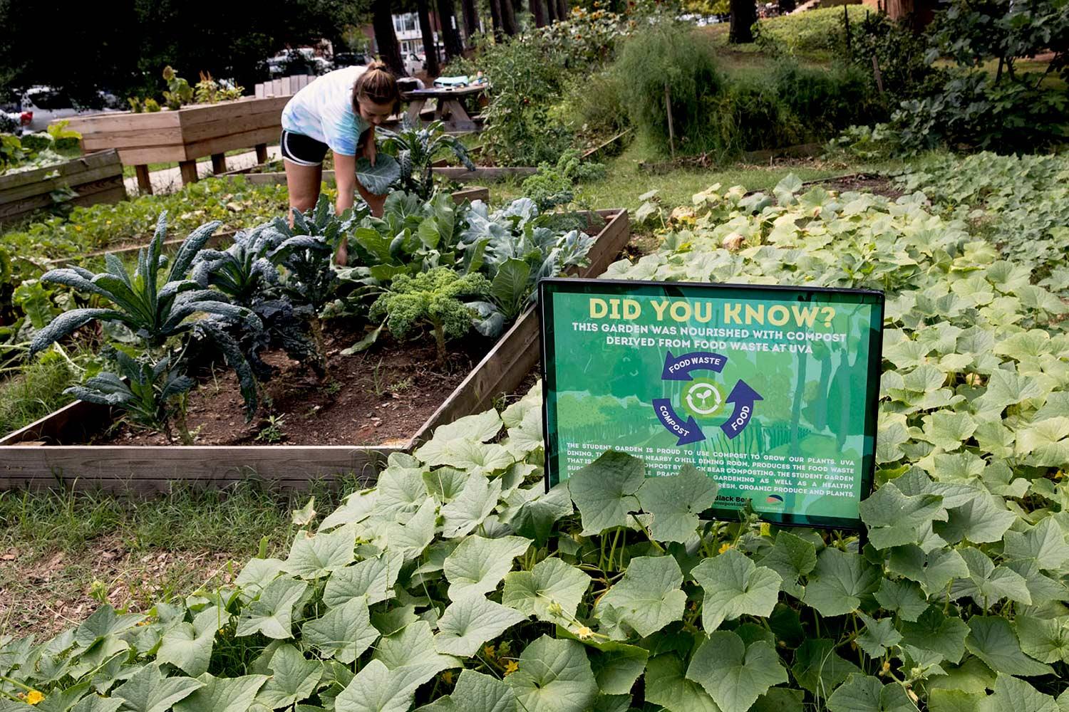 UVA Community Garden