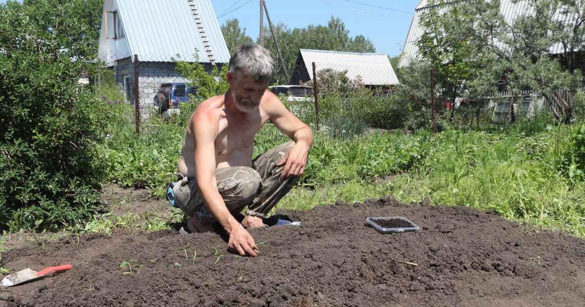 An elderly gardening tending to the soil in his garden (Representative Cover Image Source: Getty Images | Natalia Makarova)