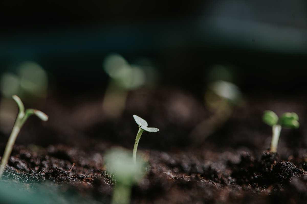 pn/edf db e d ecccab