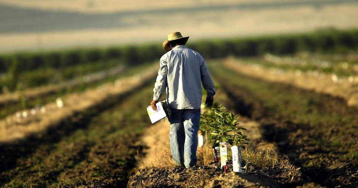 A farm worker labors in a field near Arvin, California. California's Central Valley is one of the nation's most important agricultural and oil-producing areas. (Cover Image Source: Getty Images | David McNew / Staff)