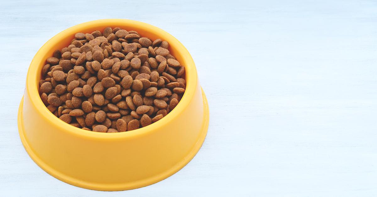 My Picky Dog Won’t Eat the Kibble I Bought — Now What Should I Do?