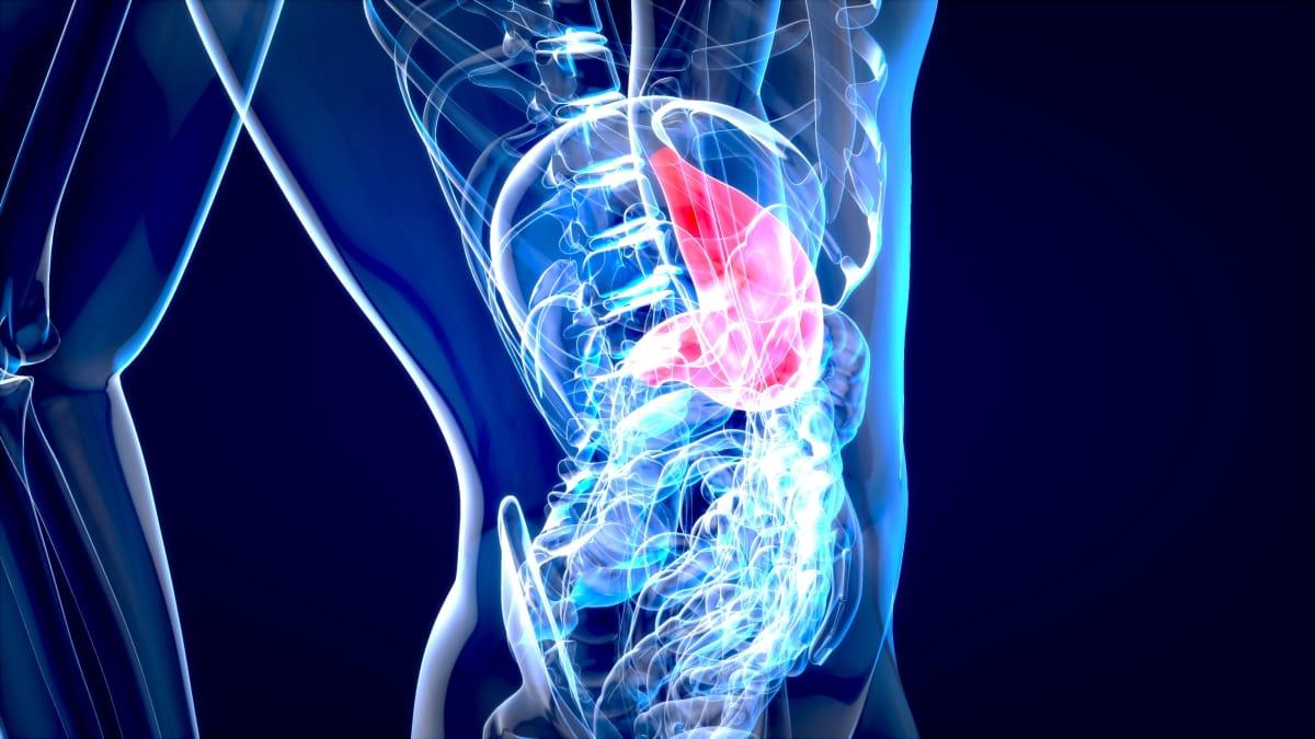 pn/c daf e bdc fcccfef