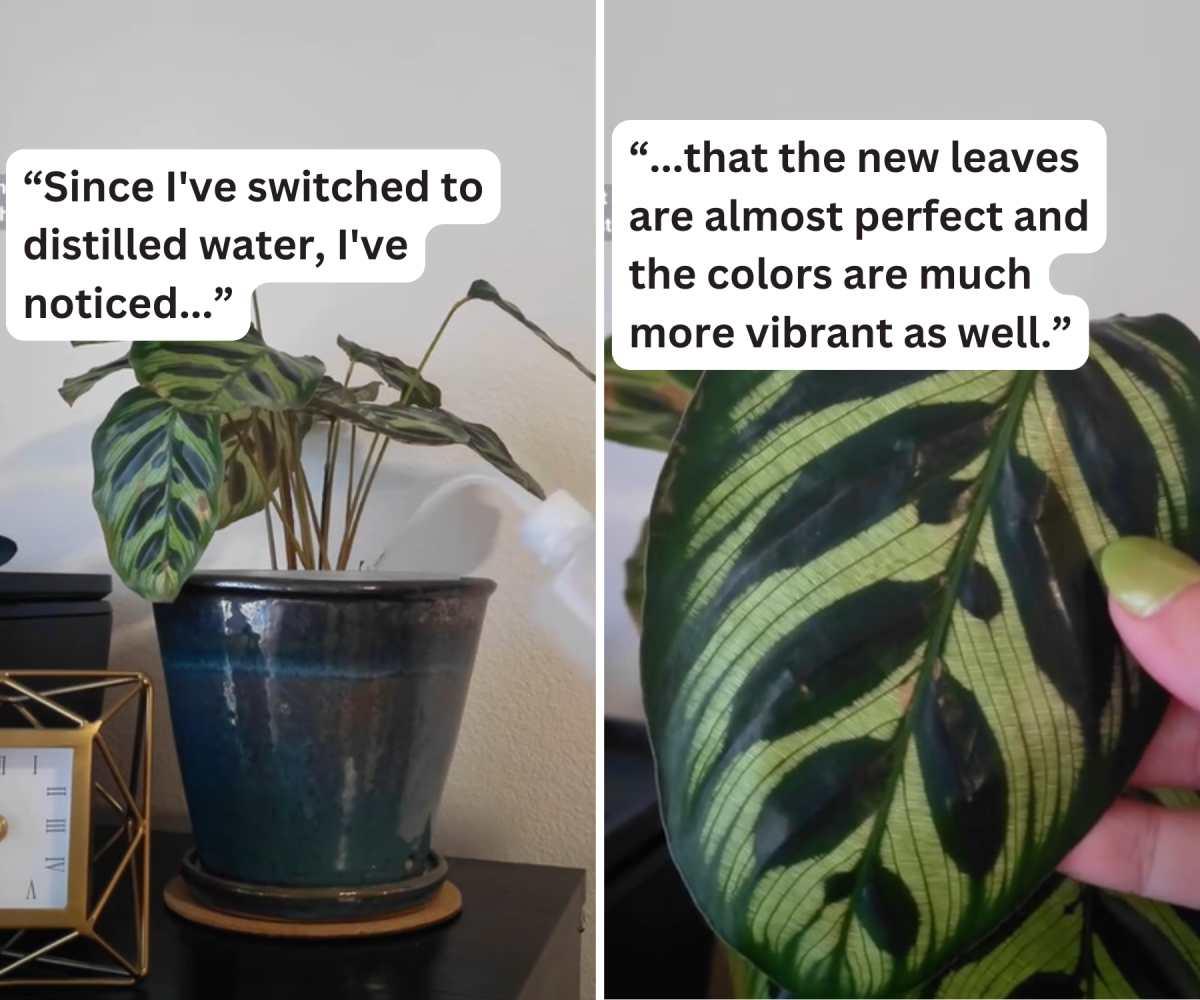 pn/dedc da eec be cbbe